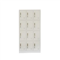 Lifetime Storage Locker